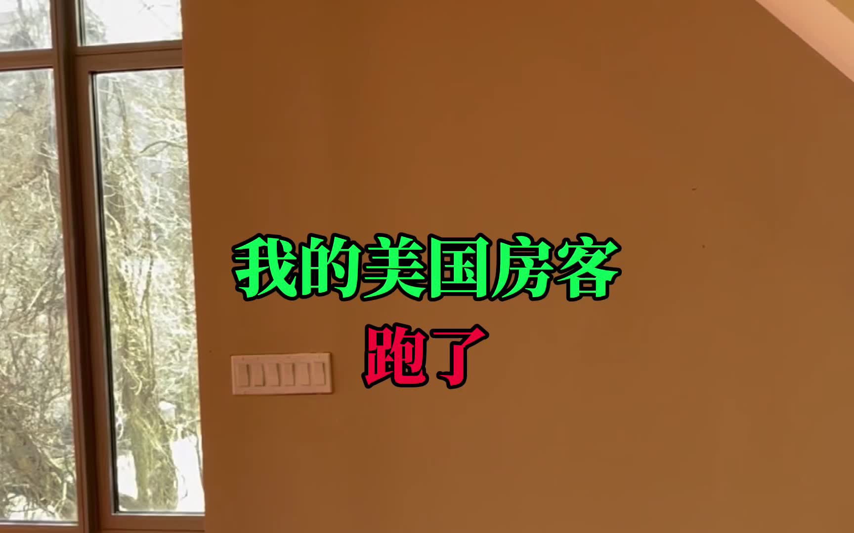 我的美国房客跑了哔哩哔哩bilibili