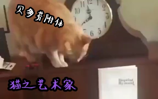 猫猫弹钢琴原版哔哩哔哩bilibili