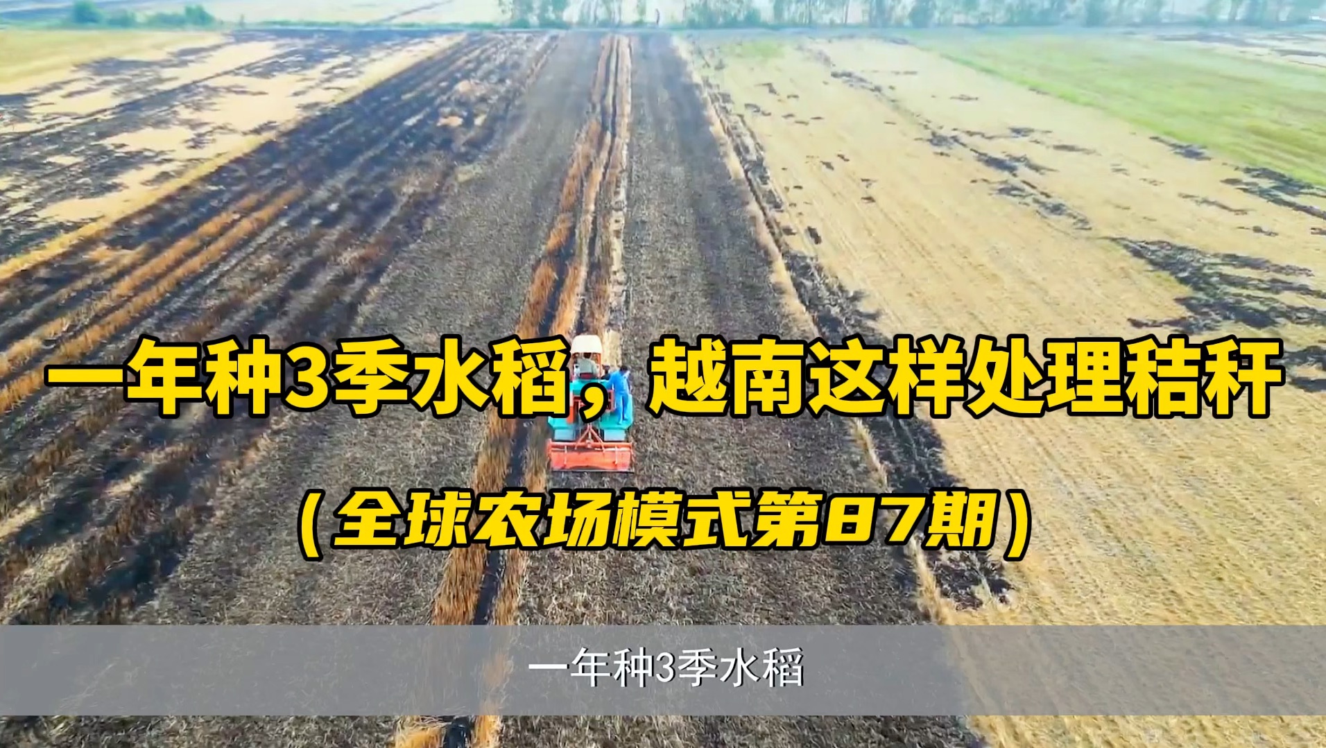 一年种3季水稻,越南这样的国家居然这样处理秸秆!5种方式,值得学习...#秸秆还田 #焚烧秸秆 #水稻种植 #春耕哔哩哔哩bilibili