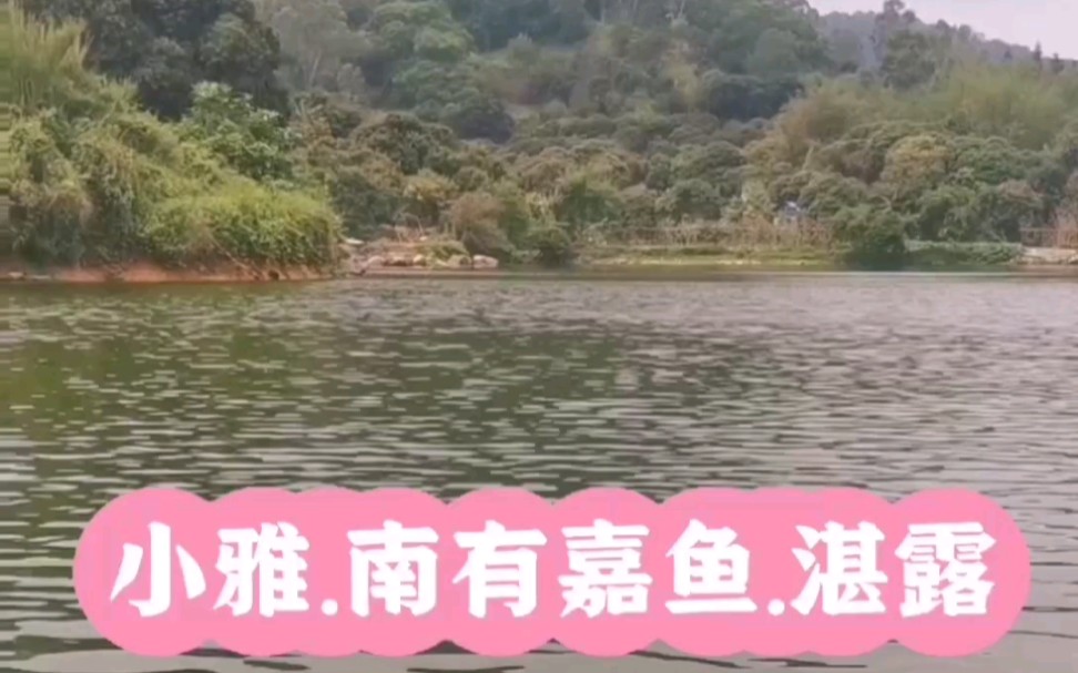 [图]《诗经》小雅，南有嘉鱼之什.湛露