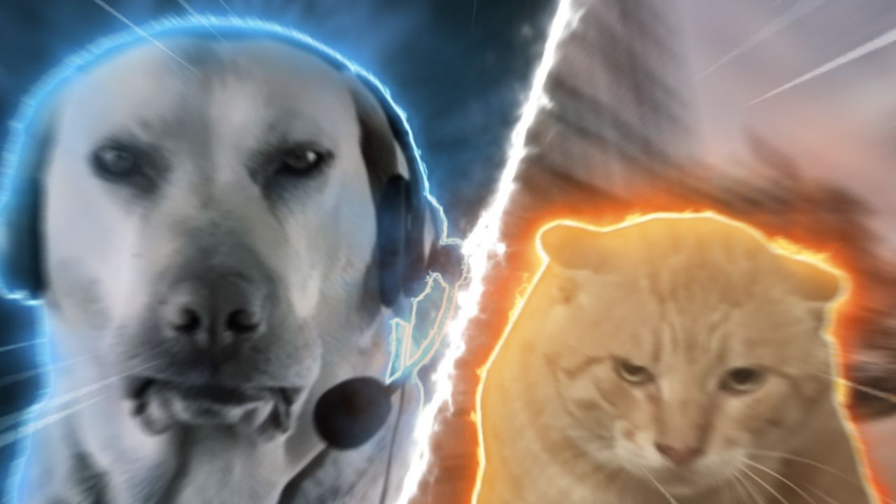 "bro似乎遇到了一些麻烦"