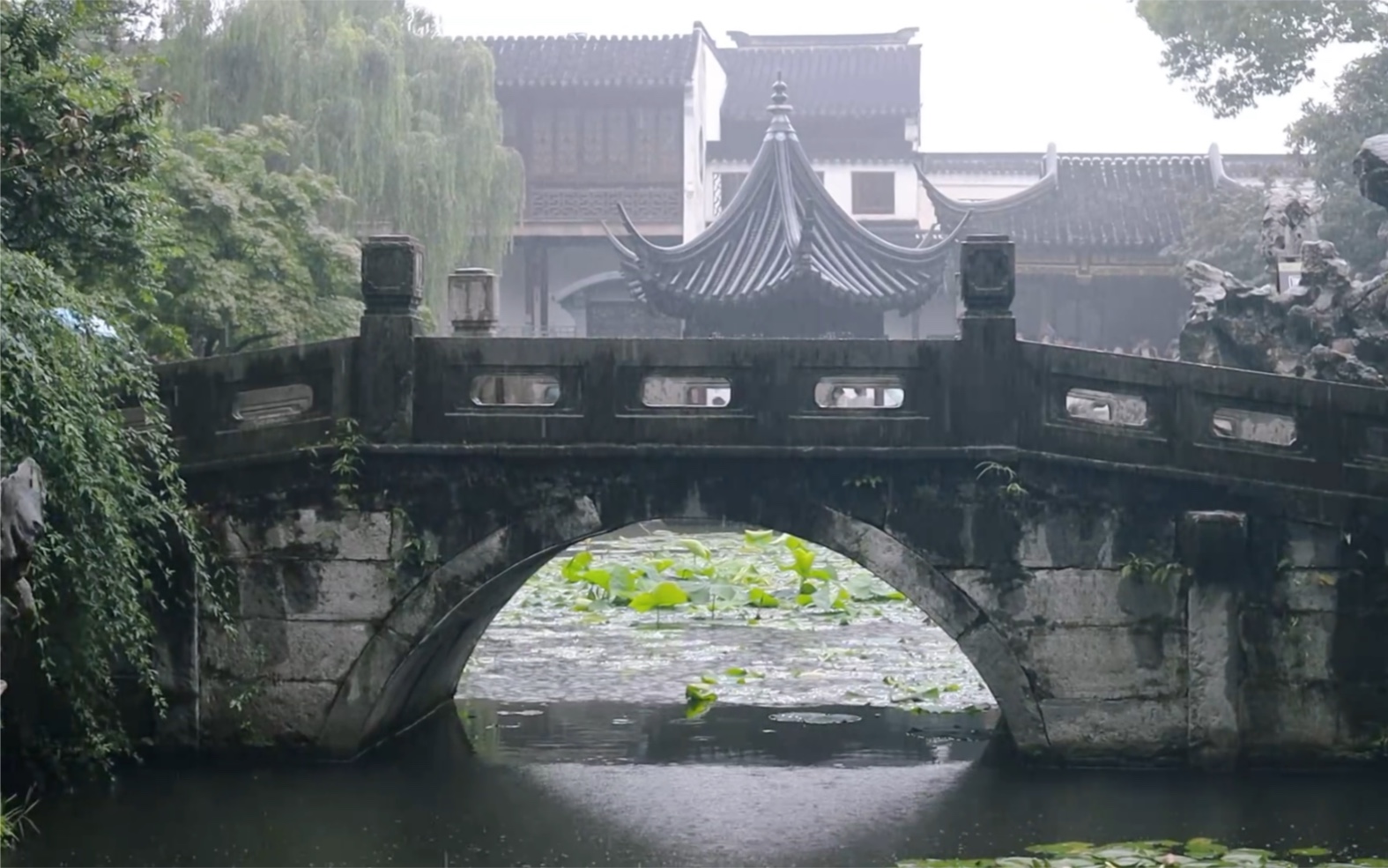 [图]江南六月的雨-苏州