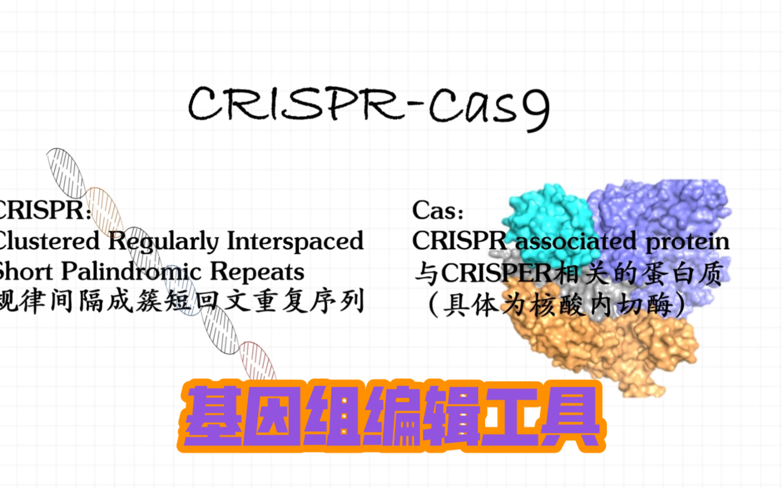 【生物学科普视频】基因组编辑工具 CRISPR/Cas9哔哩哔哩bilibili