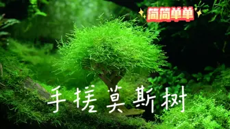 Tải video: 简简单单手搓莫斯树🌲