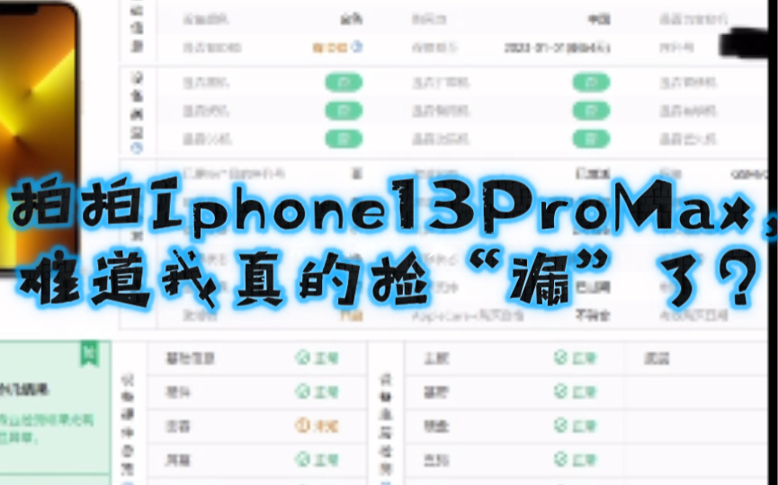 拍拍官方13promax,难道我捡漏了?哔哩哔哩bilibili