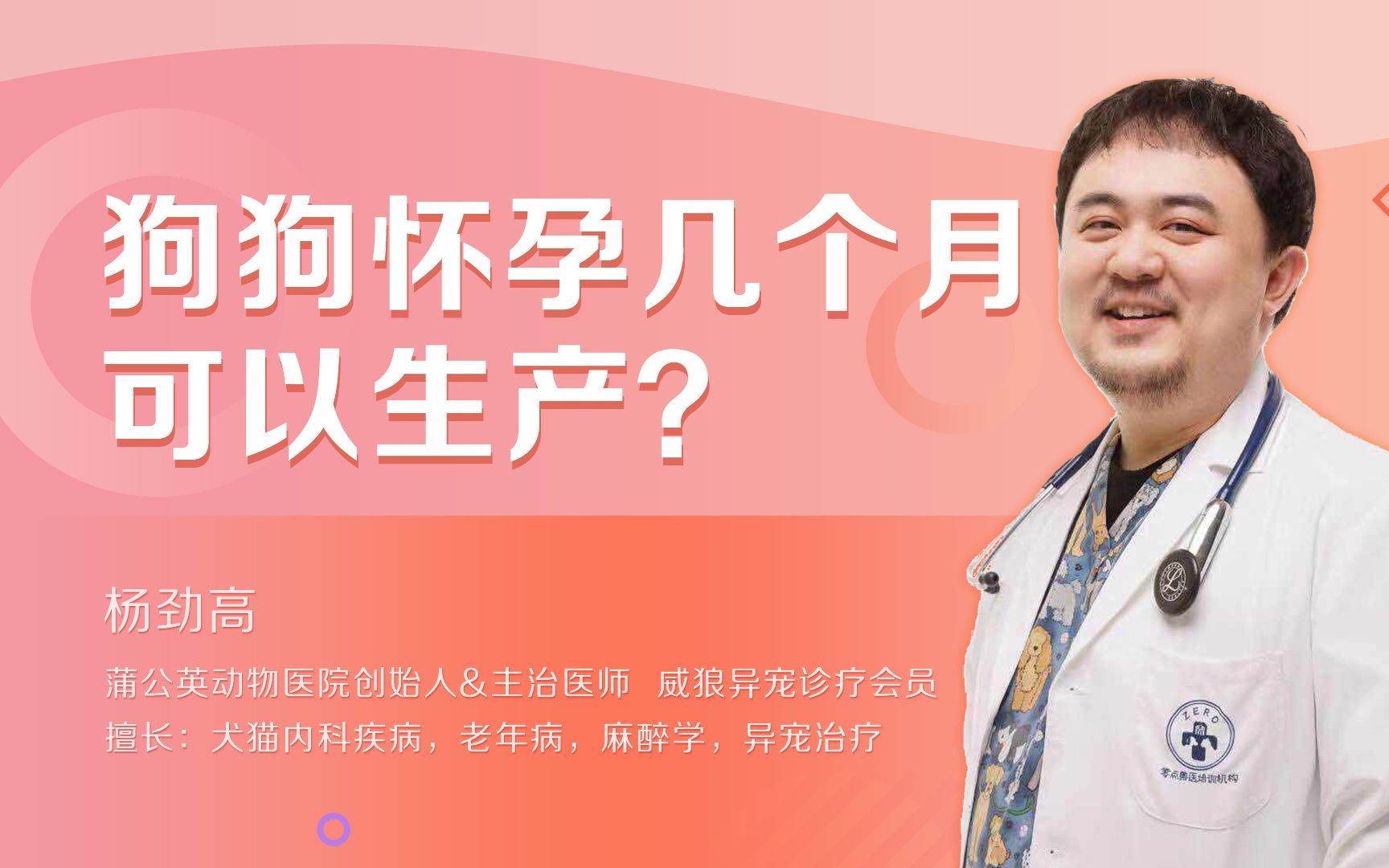 狗狗怀孕几个月生产?哔哩哔哩bilibili