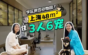 Télécharger la video: 48平「3人6宠」？住起来还宽宽敞敞！