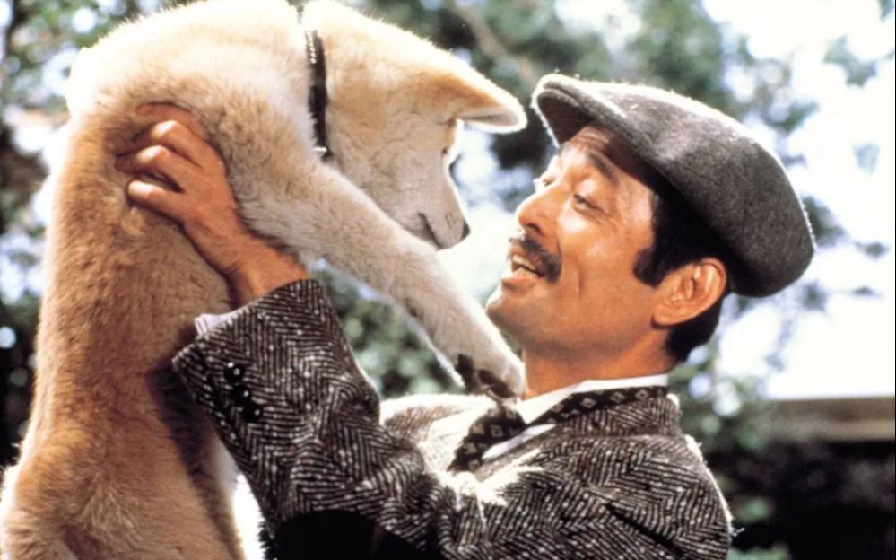 忠犬八公物语1080p我会一直等你回来2