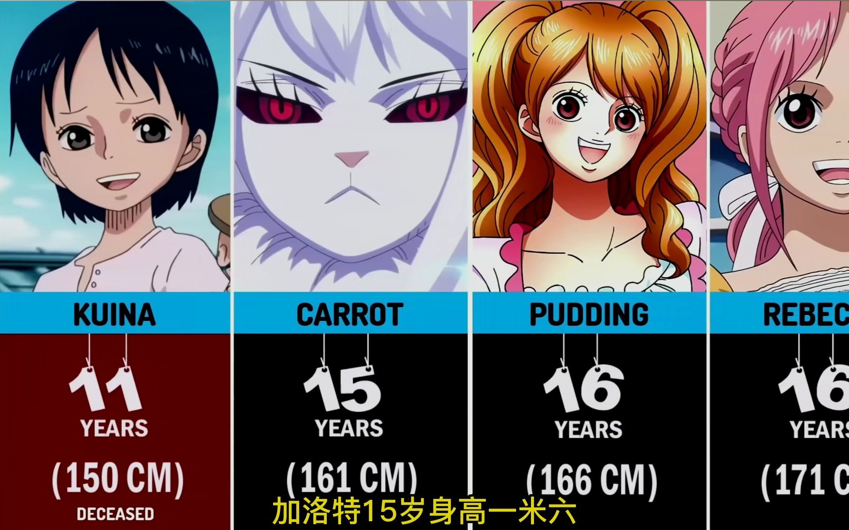 海贼王人物的身高和年龄,你知道哪些