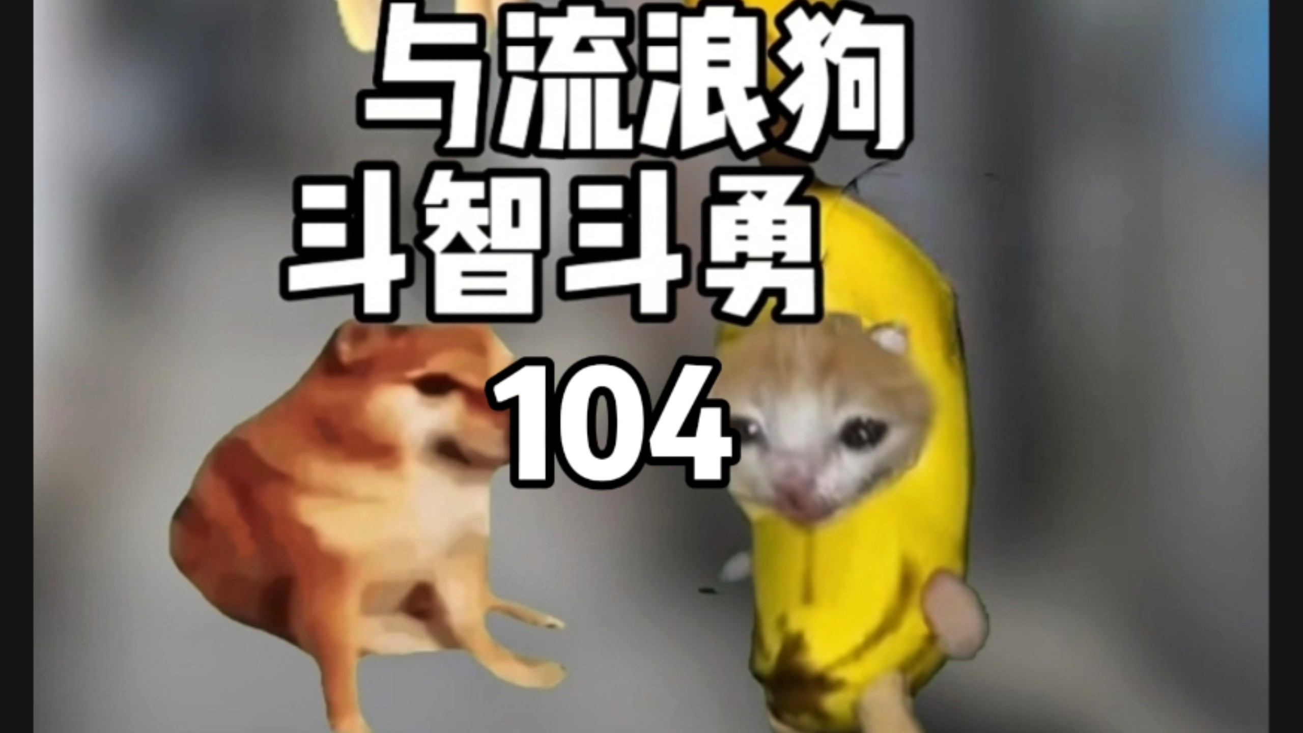 小时候玩躲猫猫(与流浪狗斗智斗勇104)-蛋子的猫meme-蛋子的猫meme-哔哩哔哩视频