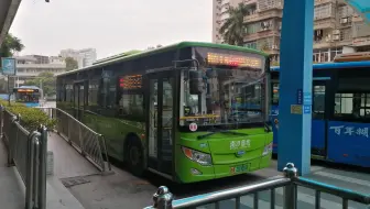 【pov】广州公交  南沙68快线  榄核公交总站---市桥汽车站总站
