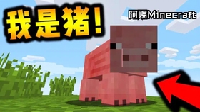 阿赐minecraft 我的新皮肤 哔哩哔哩 つロ干杯 Bilibili