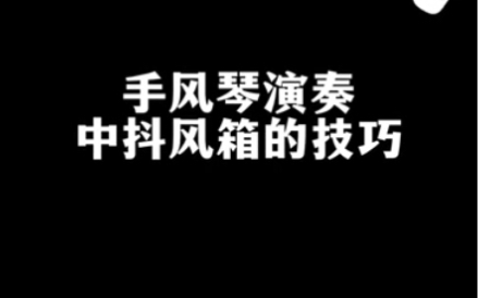 手风琴演奏中抖风箱的技巧哔哩哔哩bilibili