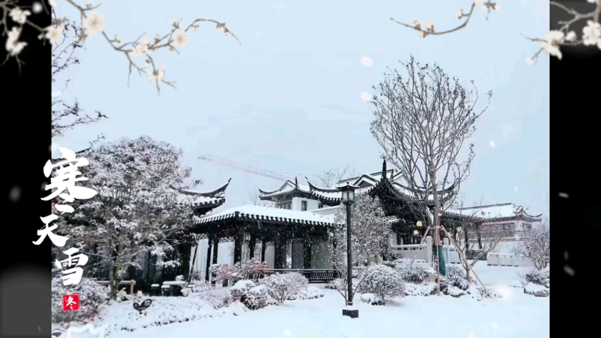 [图]总有一场雪，为你而来。