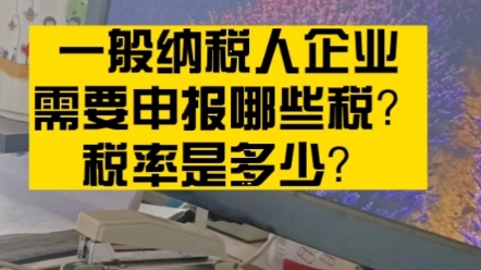 一般纳税人申报|需要申报哪些税种?税率是多少?什么时间申报哔哩哔哩bilibili