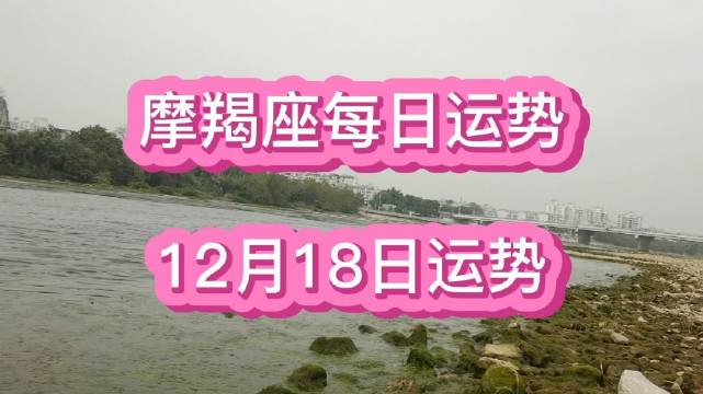 摩羯座每日运势/12月18日哔哩哔哩bilibili