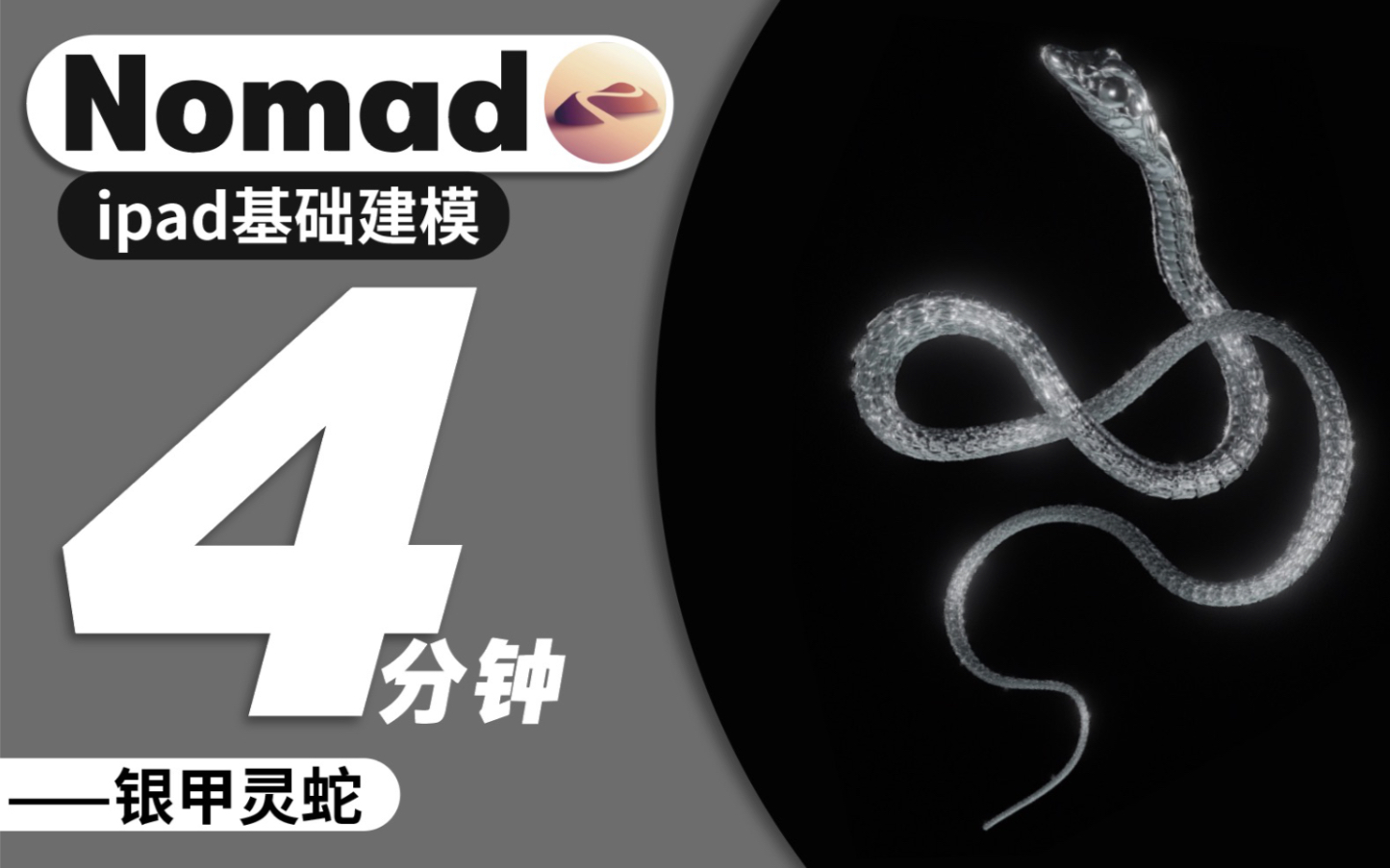 nomad教程|阔爱蛇蛇 电子异宠 来一条霹雳闪电银光蛇