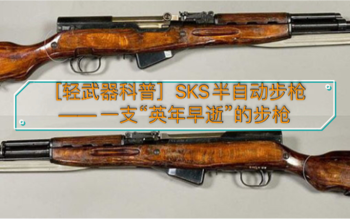 [轻武器科普]SKS半自动步枪—— 一支“英年早逝”的步枪哔哩哔哩bilibili