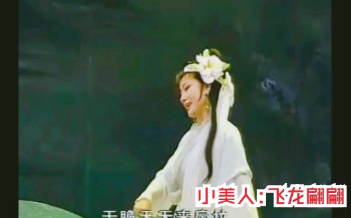 [图]【飞龙翩翩】翻唱越剧《蝴蝶梦 小寡妇扇坟》