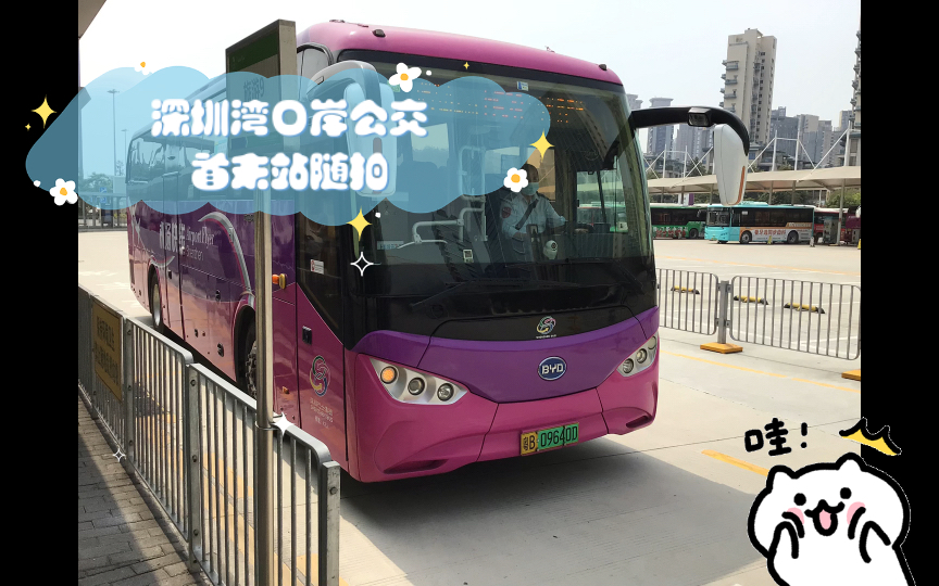 深圳湾口岸公交首末站随拍