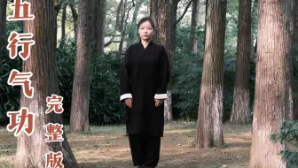 五行气功完整版