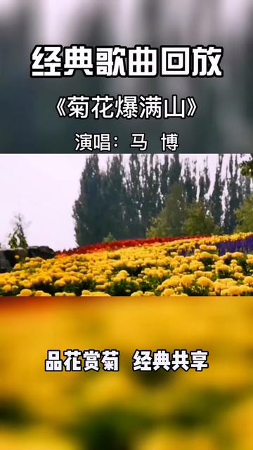 经典老歌 #聆听天籁之音 #菊花爆满山 #马博