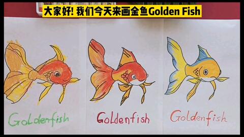 简笔画一学就会 金鱼golden Fish 绘画英语启蒙 哔哩哔哩