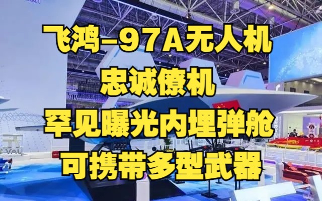 国产最新无人装备集中亮相:飞鸿97A无人机罕见曝光内埋弹舱 可携带多型武器!飞鸿901巡飞弹展示毁伤威力 实射画面公开!哔哩哔哩bilibili