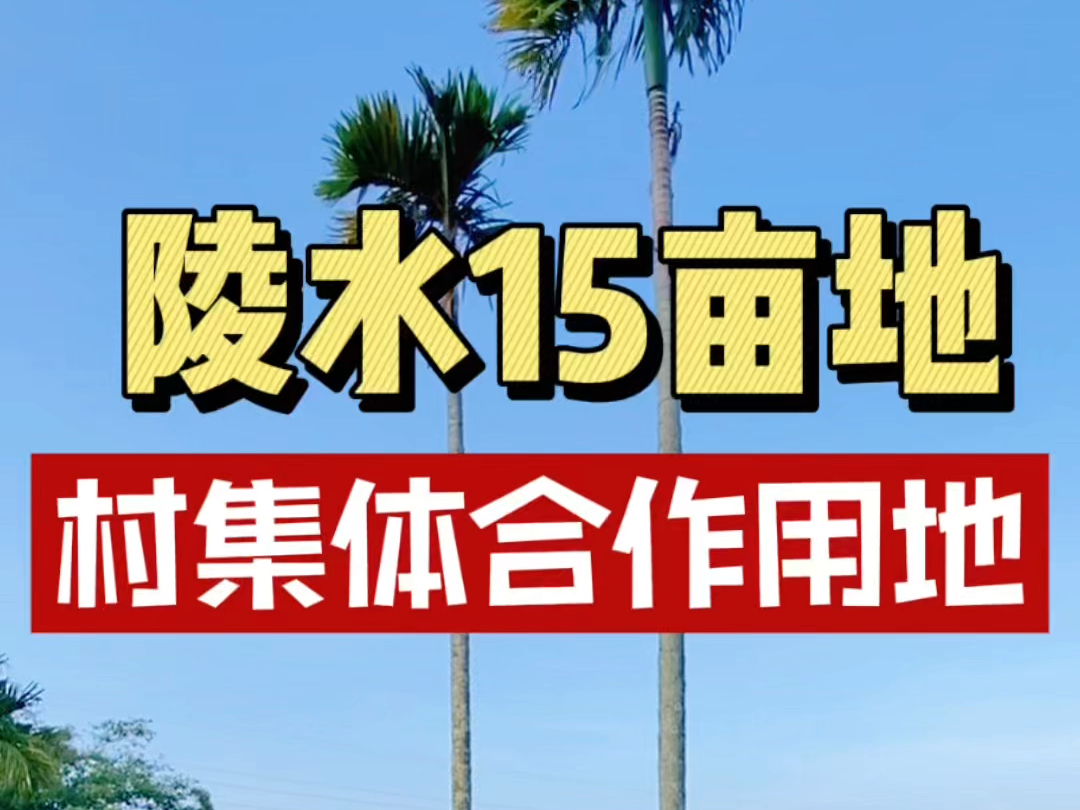 村集体合作用地,寻求有实力有想法在陵水发展的企业,比如仓储物流、康养民宿等符合海南乡村振兴的项目都可以 #项目 #土地 #乡村振兴哔哩哔哩bilibili