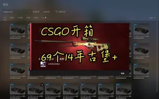 csgo古堡箱子图片