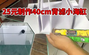 Tải video: 25元制作40cm背滤小海缸，自己也能动手制作背滤鱼缸，DIY背滤缸