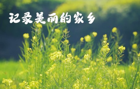 家乡武山农村的美景哔哩哔哩bilibili