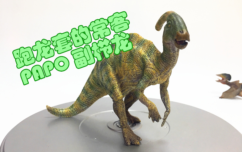 【初丁分享096】跑龙套的常客!侏罗纪公园侏罗纪世界papo副栉龙