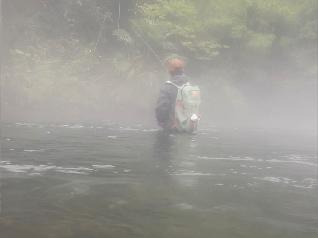 雨中飞钓山女鳟哔哩哔哩bilibili