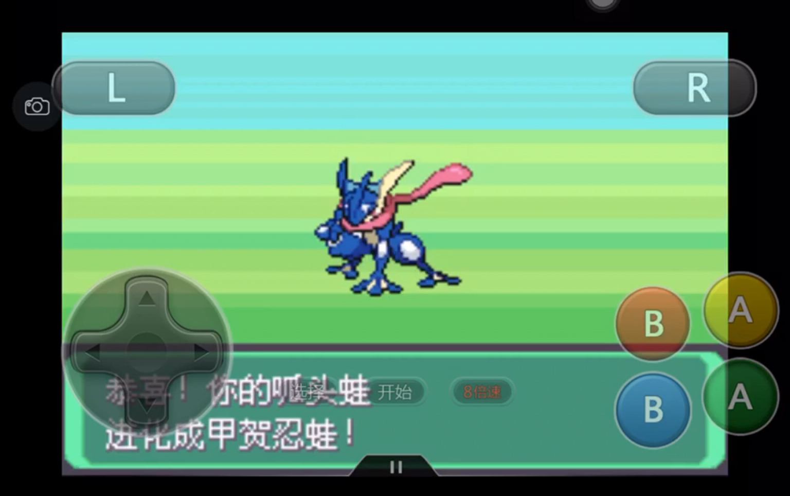 口袋妖怪究极绿宝石蛙爷进化成甲贺忍蛙了