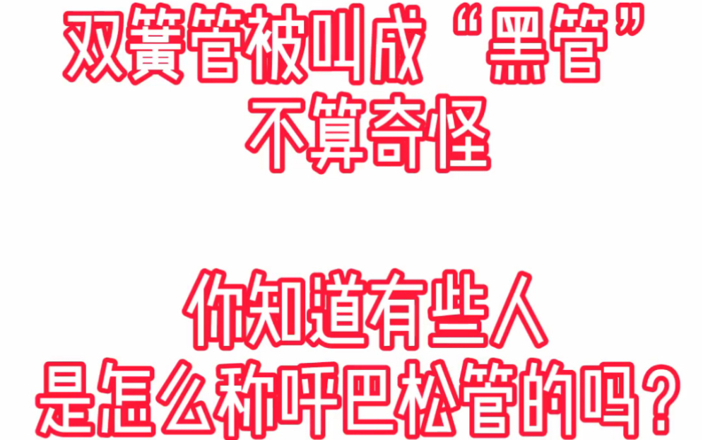 龙登杰丨双簧管被称"黑管"不算奇怪,你知道有些人怎么称呼巴松管吗?哔哩哔哩bilibili