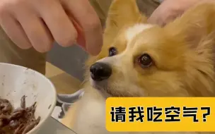 Download Video: 法国主厨家的爱犬吃什么？