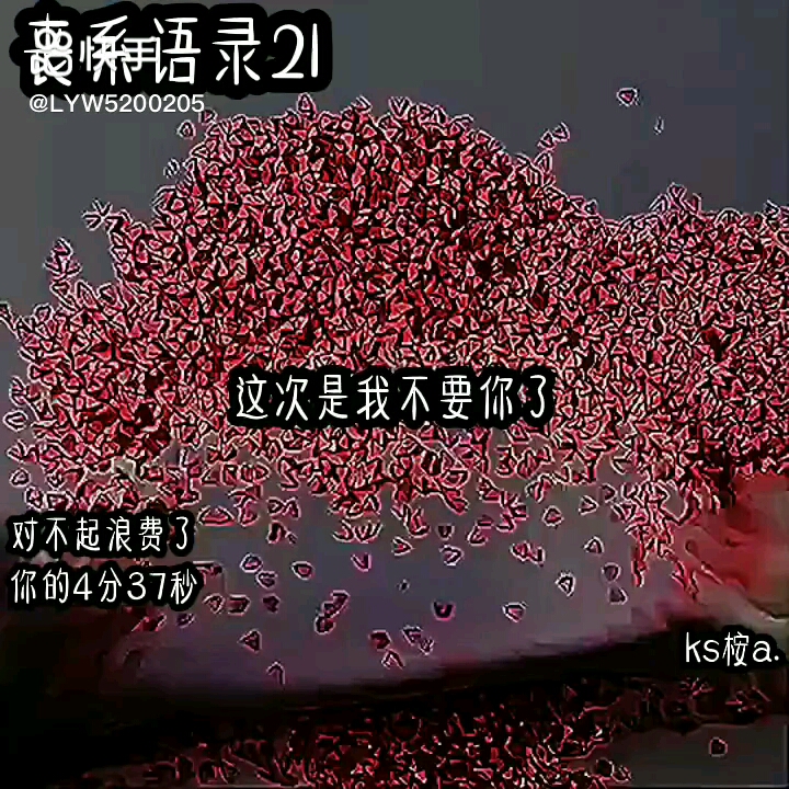 丧气语录合集6_哔哩哔哩_bilibili