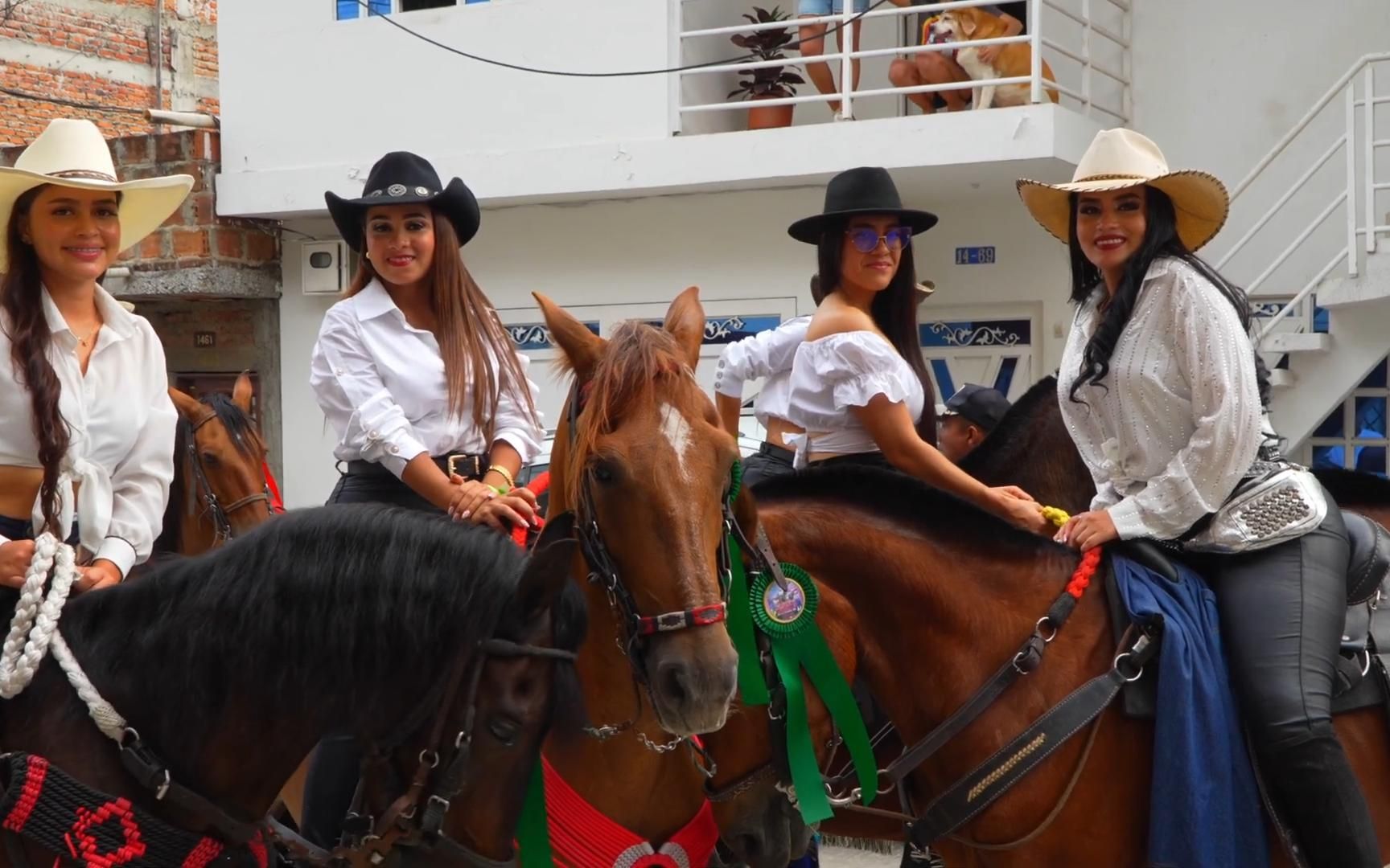 墨西哥骑士节 (人高马大带胸鳍)