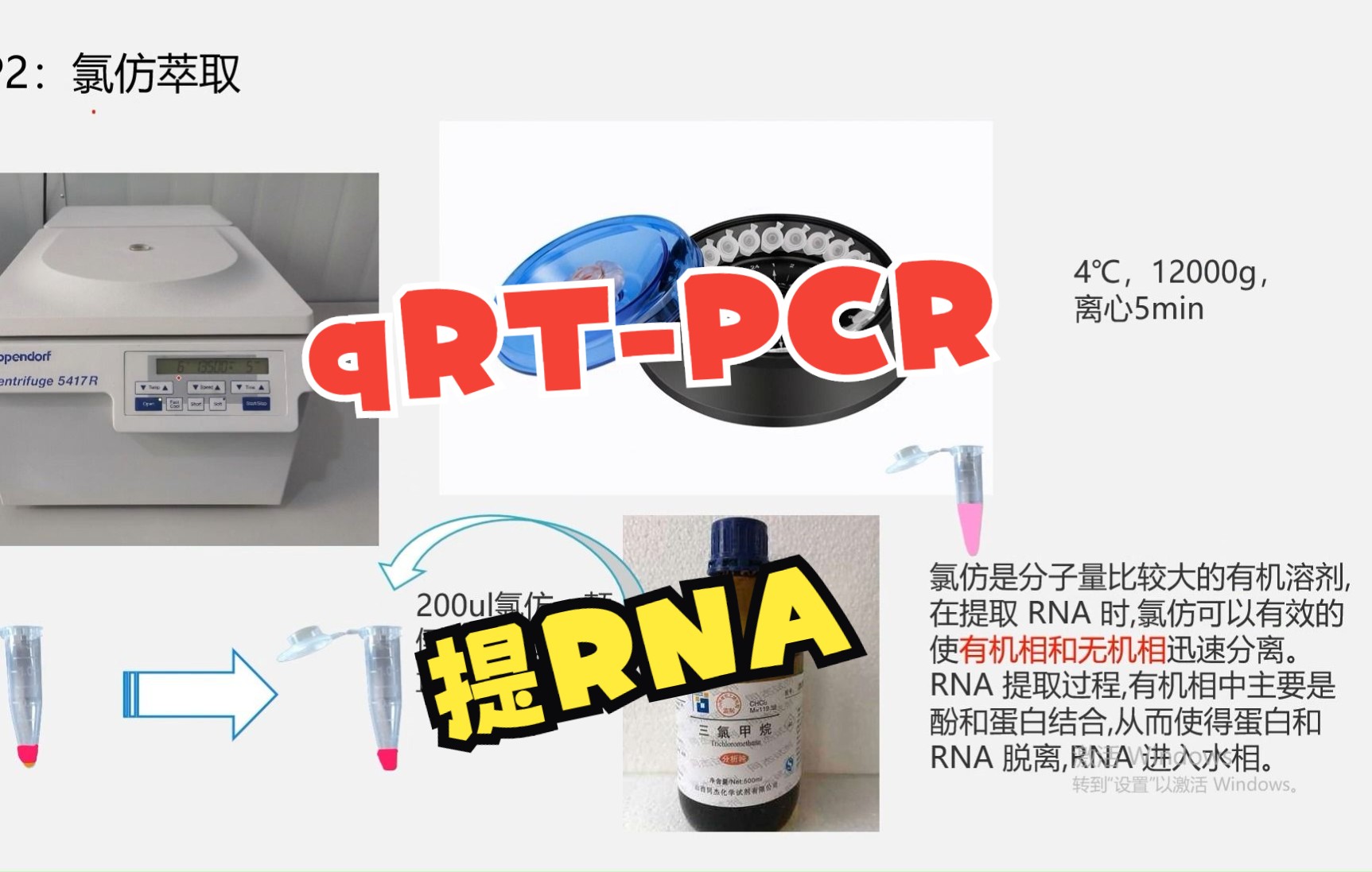 qRTPCR提RNA(RNA提取的大致过程)哔哩哔哩bilibili