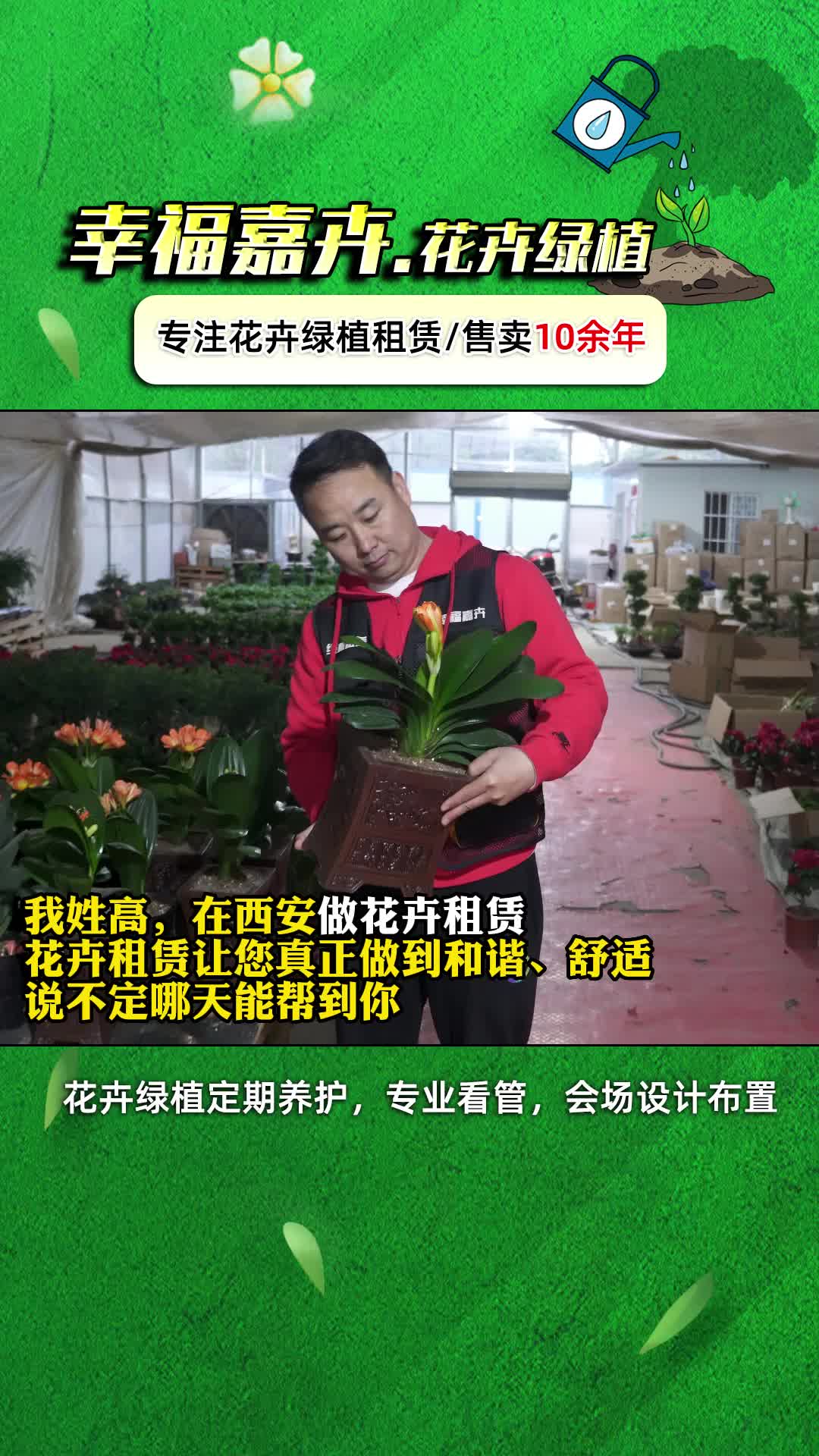 办公室租花推荐,西安绿植租摆公司提供专业的租花业务;可提供绿植批发,有需要的朋友快来联系我们吧哔哩哔哩bilibili