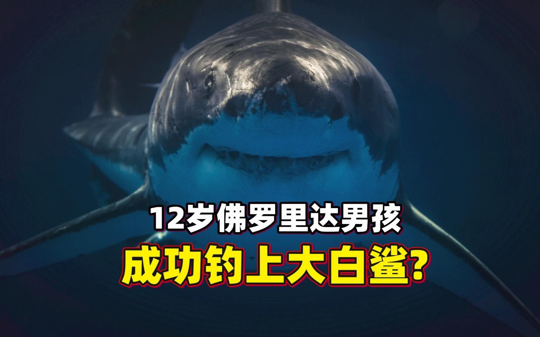 太牛了!12岁佛罗里达男孩,钓到317斤大白鲨!他是怎样做到的?哔哩哔哩bilibili