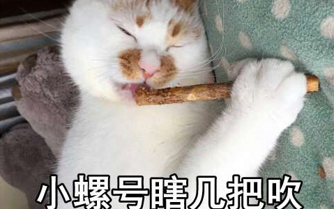童话话直播录屏-田螺单排上分,螺日天来也!