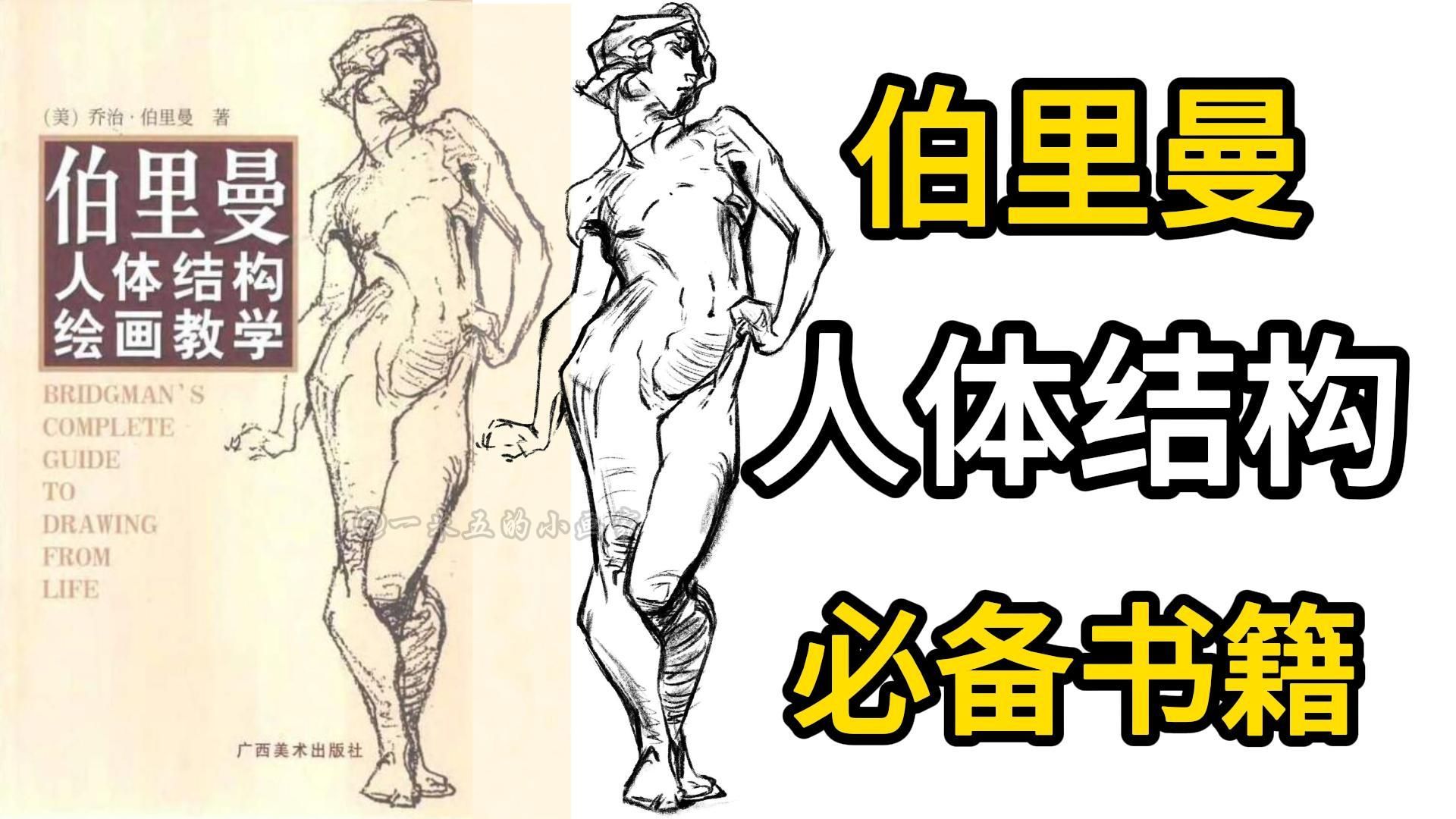 【伯里曼人体结构绘画书籍电子版/线稿】绘画必备书籍!