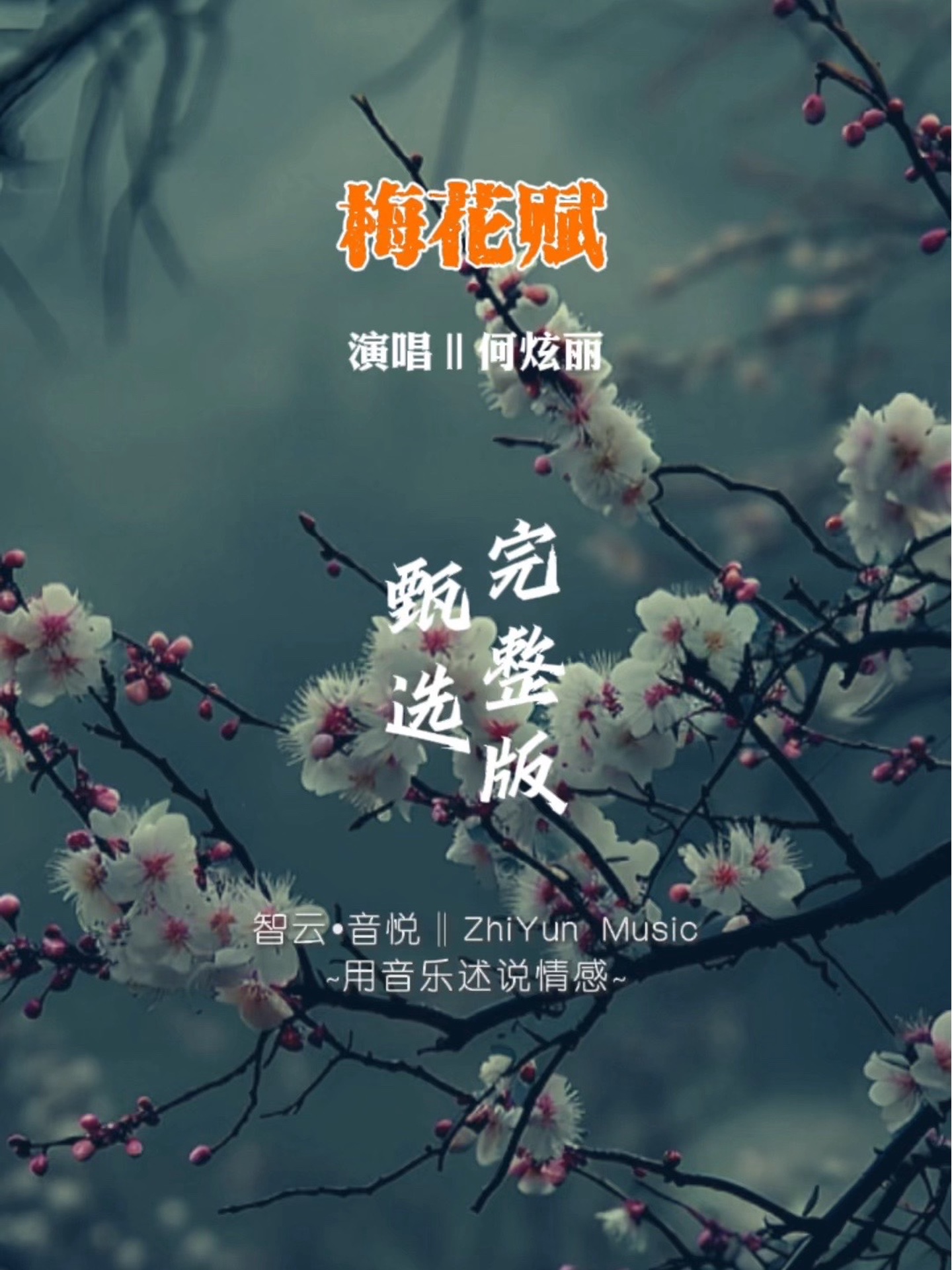 歌曲梅花赋原唱图片图片