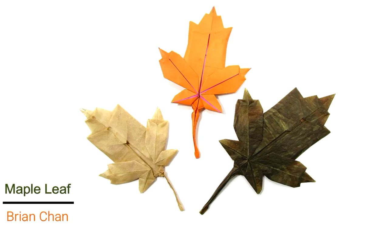 [图]【油管搬运】【折纸Origami】枫叶·Maple Leaf Canada·カエデの葉 by Brian Chan