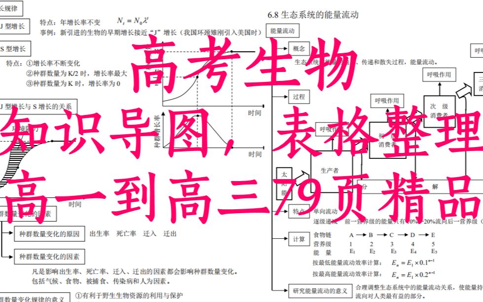 高中生物复习利器,高一到高三知识点思维导图整理,共79页哔哩哔哩bilibili