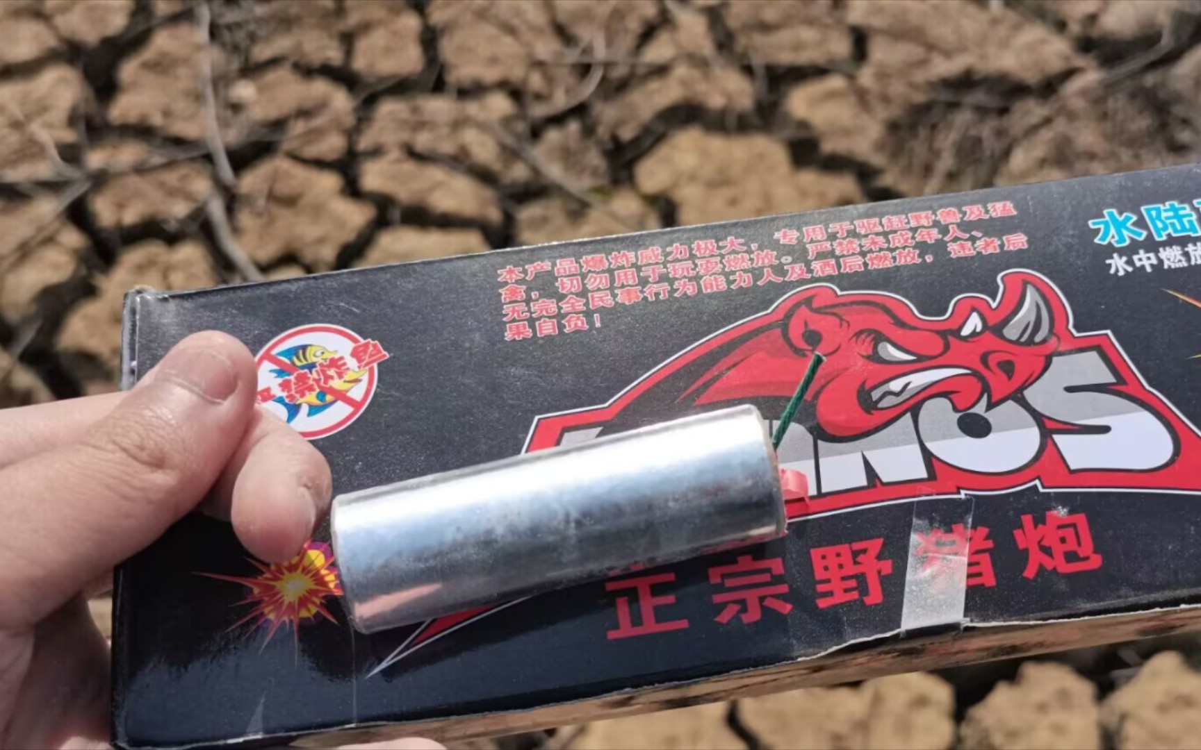 给大家试一下这个小炮仗