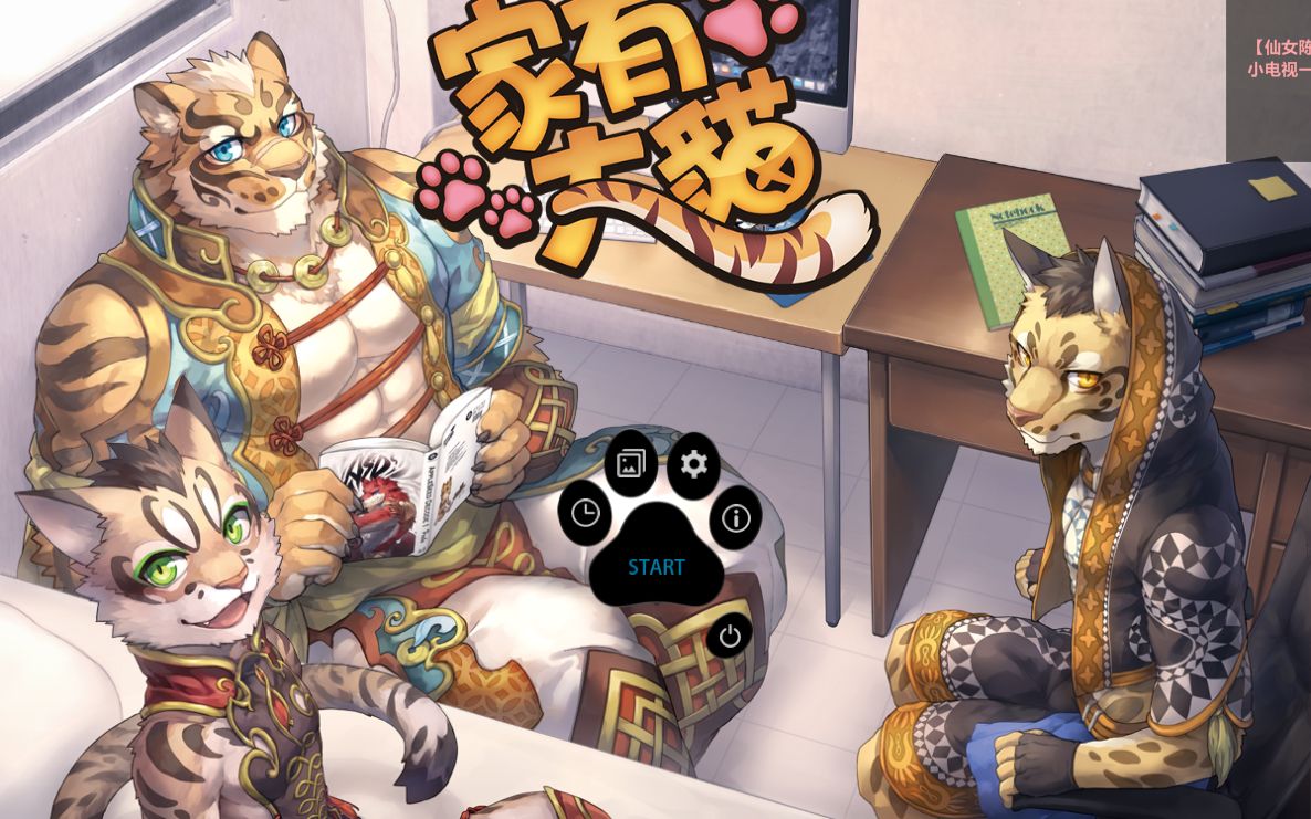 家有大猫无论何时都三猫一起