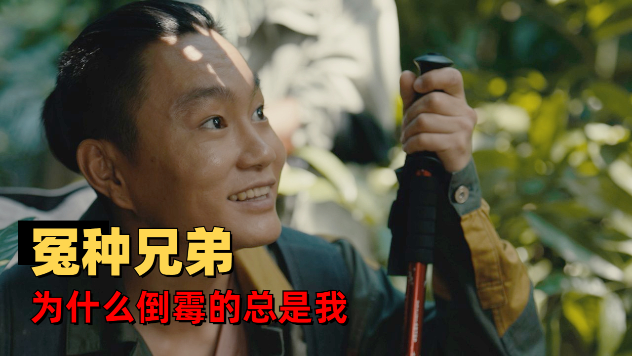 冤种兄弟,为什么倒霉的总是我
